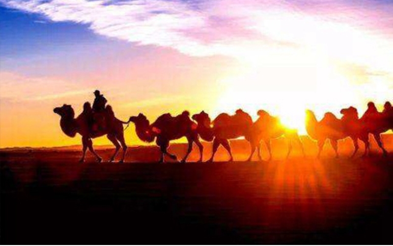 絲綢之路遺址保護高級培訓(xùn)班圓滿結(jié)業(yè)